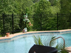 Swimming Pool Fencing Knoxville Tennessee