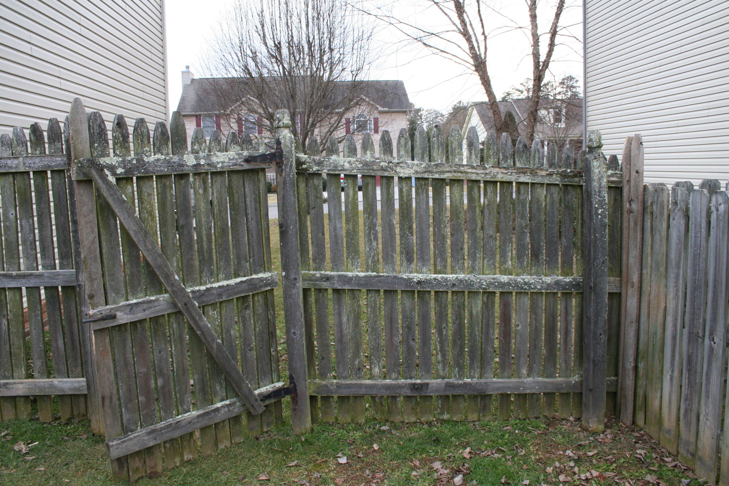 cedar fence fungus Bryant Fence
