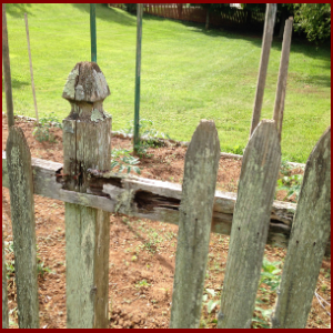 TERMITE FENCE FAILS Knoxville Tennessee