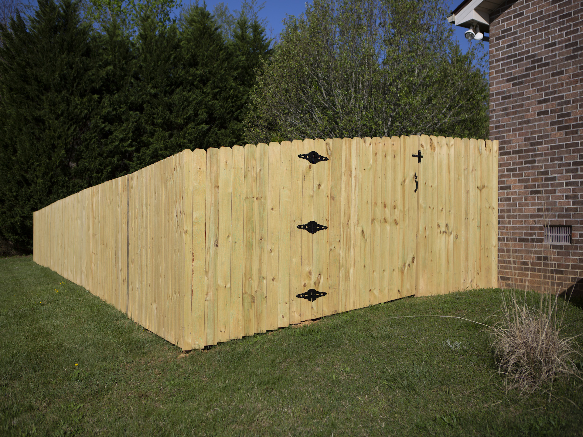 Shel Lane by Knoxville fencing