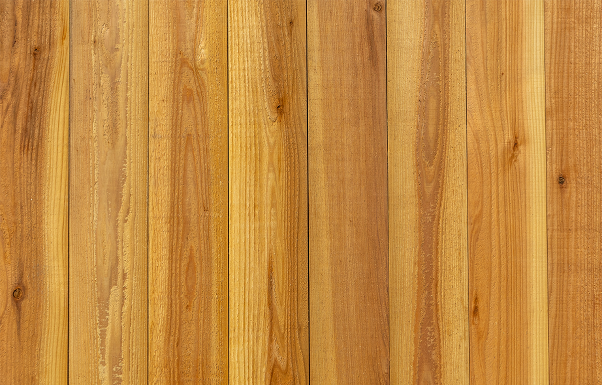 Red Cedar