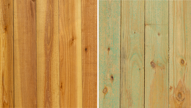 Red Cedar vs. Pressure Treated Pine Red Cedar vs. Pressure Treated Pine